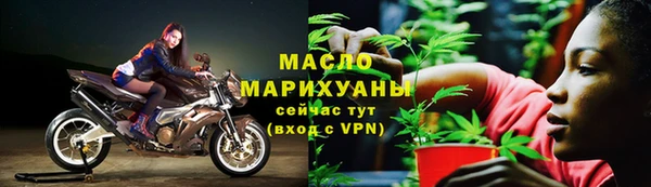 стаф Медногорск