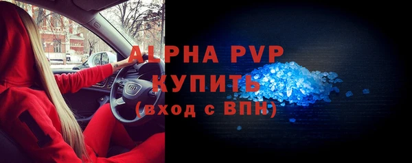 стаф Медногорск