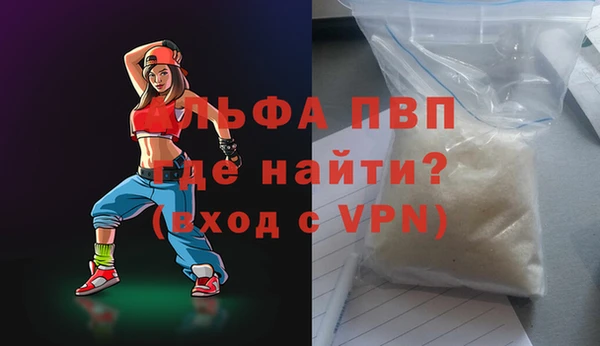 стаф Медногорск