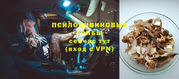 стаф Медногорск